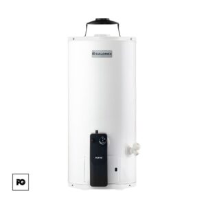 Boiler de depósito Fortis de gas LP para 1 servicio.