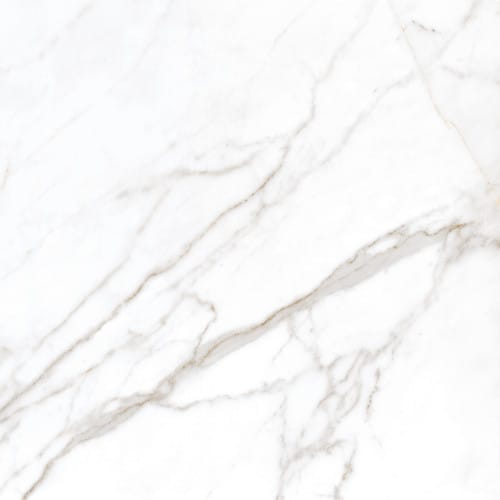 Larissa White Br 60×60